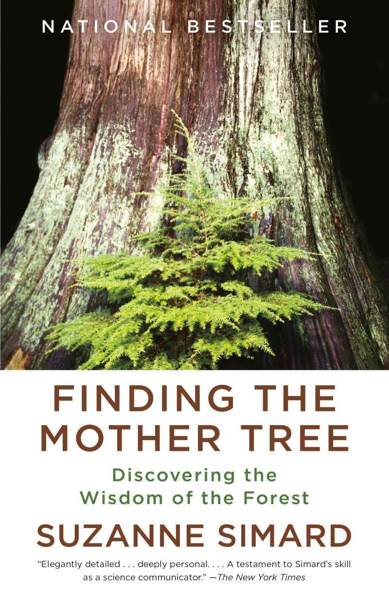 Finding The Mother Tree - Paperback - Not Applicable 1