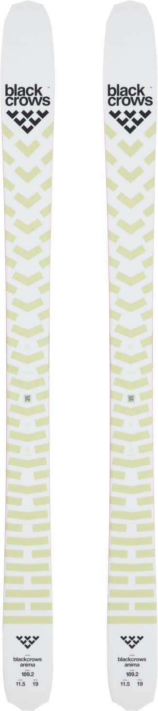 Anima Skis 2022/2023 - Dark Beige 1