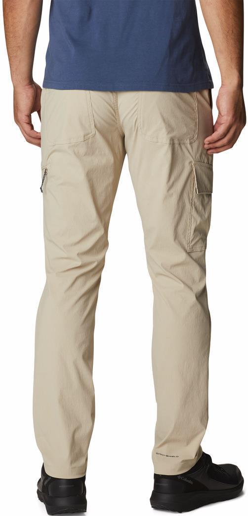 Newton Ridge II Pants, 34" Inseam - Mens - Ancient Fossil 2