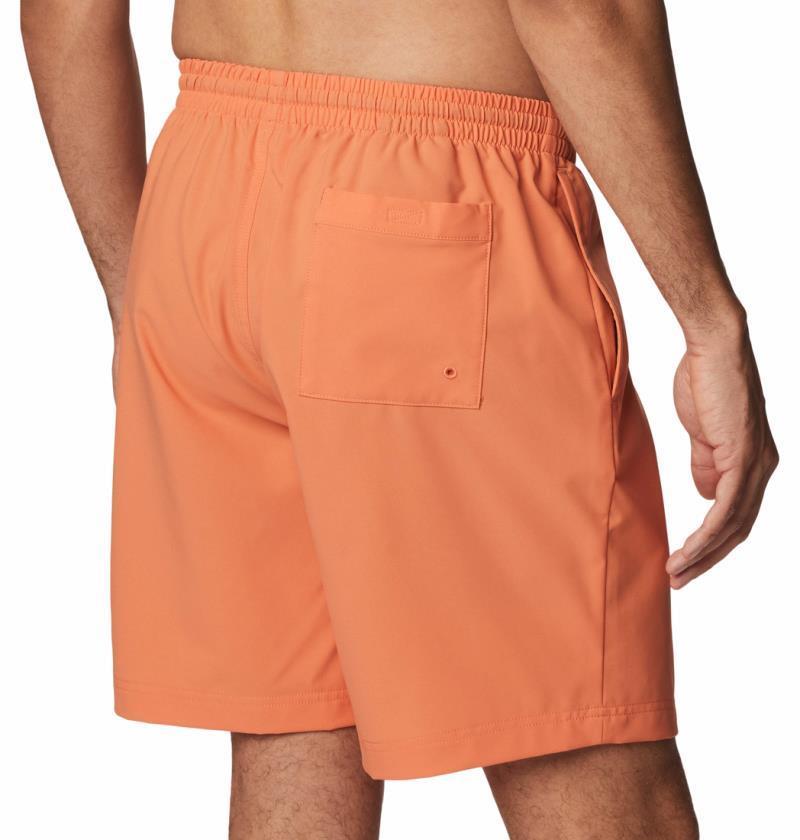 Summertide Stretch Shorts, 6" Inseam - Mens - Desert Orange 5