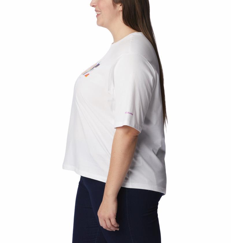 Wild Places SS Tee - Plus - Womens - White / Outdoorsy Pride 3