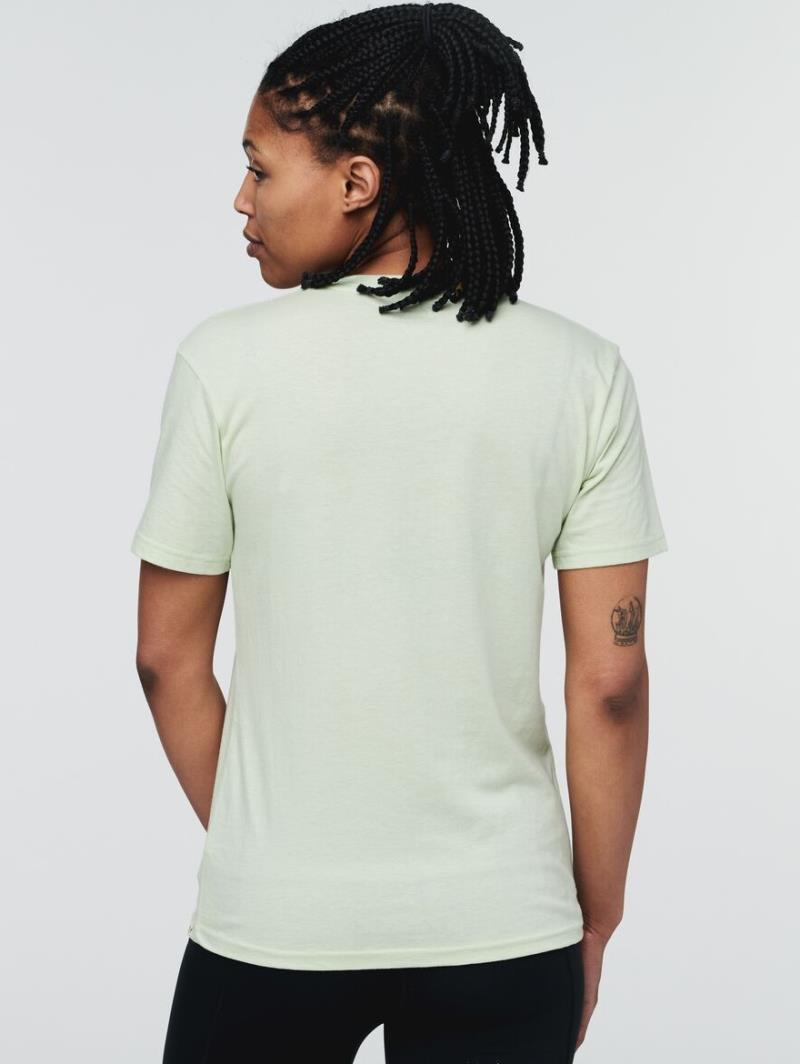 Electric Llama T-Shirt - Womens - Lichen 3