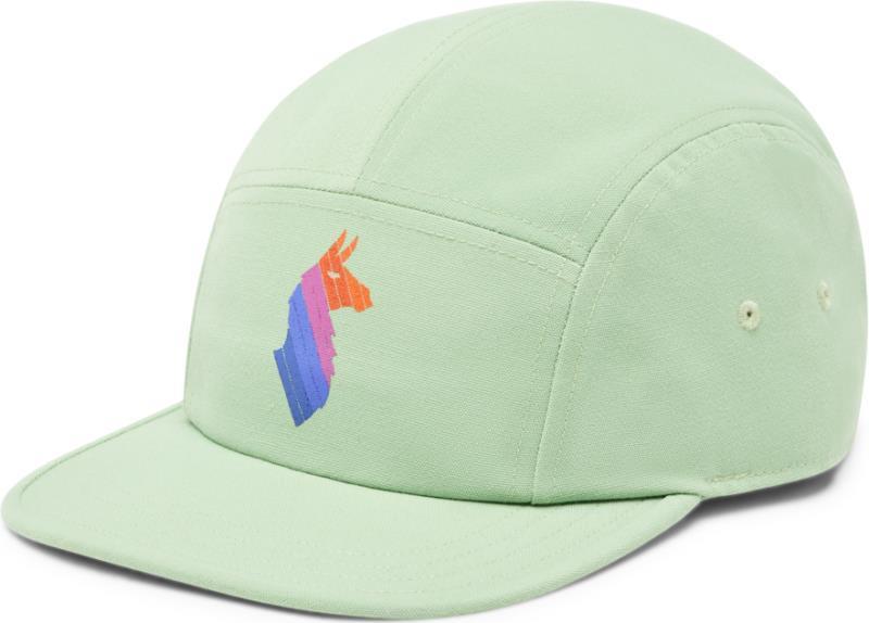Llama Stripes 5 Panel Hat - aspen 1