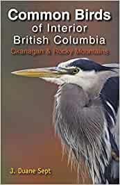 Common Birds of Interior BC Okanagan & Rocky Mountains - not applicable 1