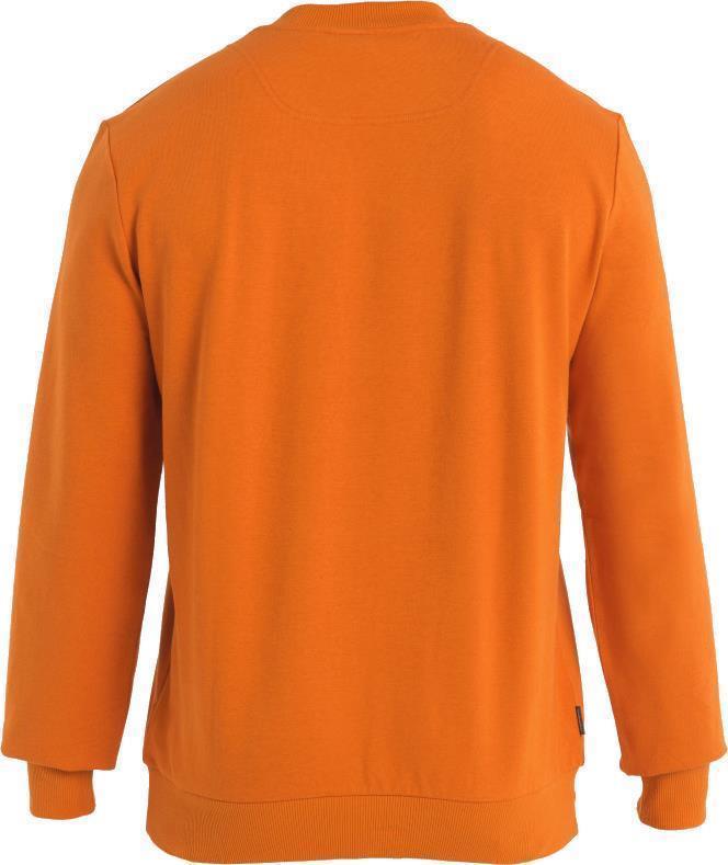 Central II LS Sweatshirt - Mens - Earth 2