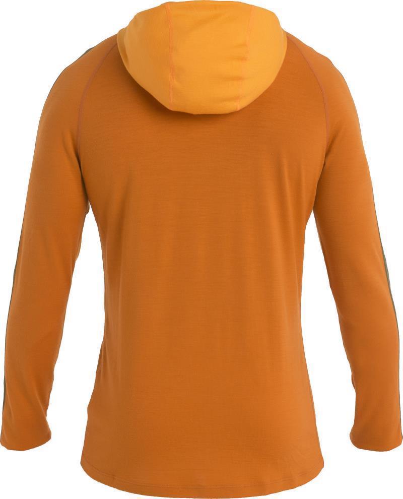 Merino 200 Sonebula LS Half Zip Hood - Mens - Earth / Solar / Loden / CB 2