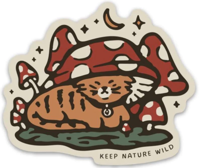 Toadstool Tabby - Not Applicable 1