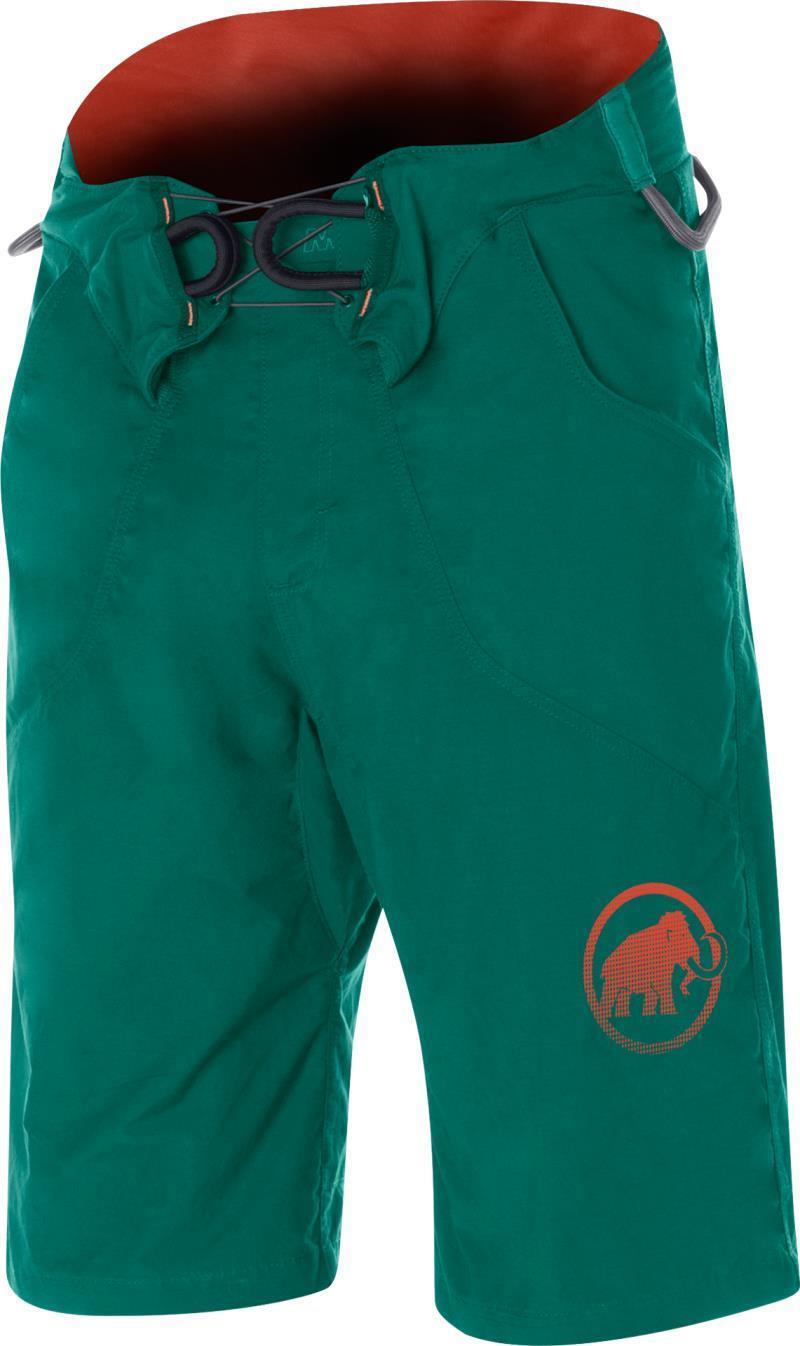 Realization Shorts / Climbing Harness - Pine 1