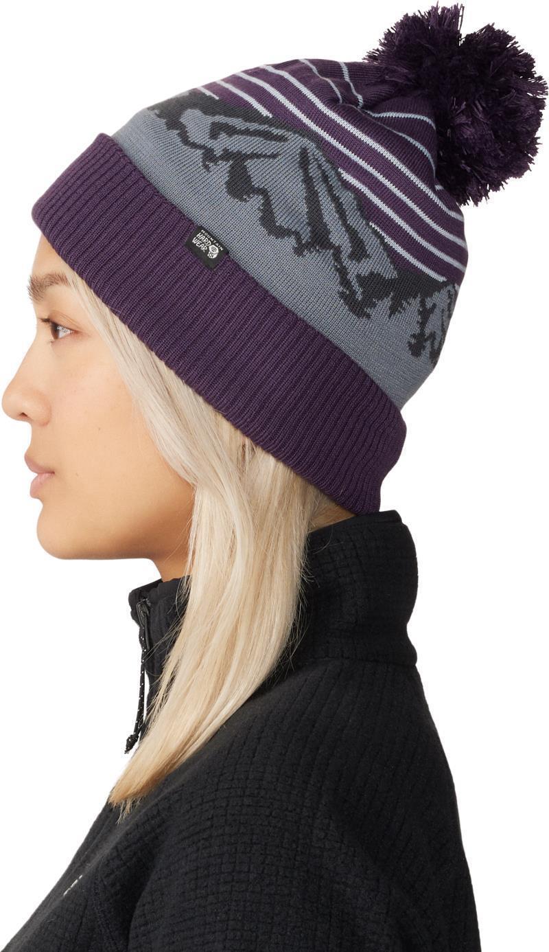 ApresPro Beanie - Blurple 4