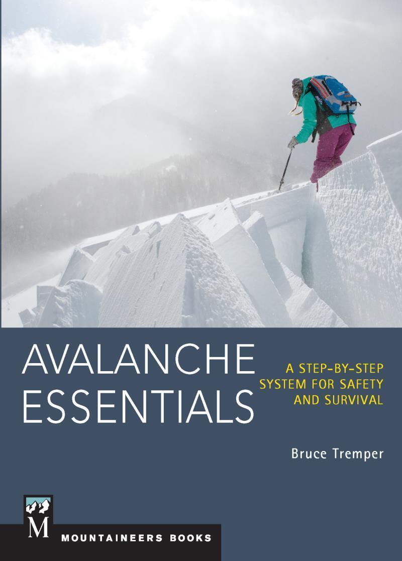 Avalanche Essentials - Not Applicable 1