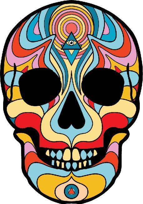 Skull - Not Applicable 1