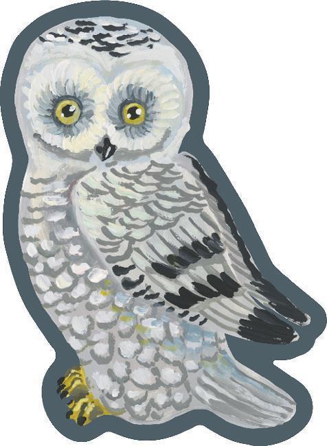 White Snowy Owl by N. Lete - Not Applicable 1