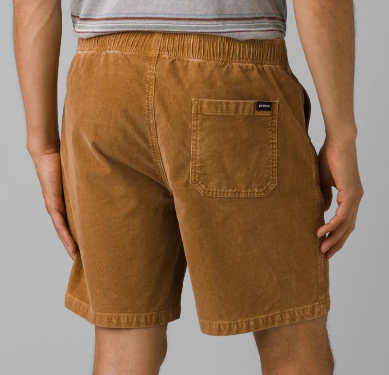 Canyon Camp Shorts, 7" Inseam - Mens - Earthbound 3