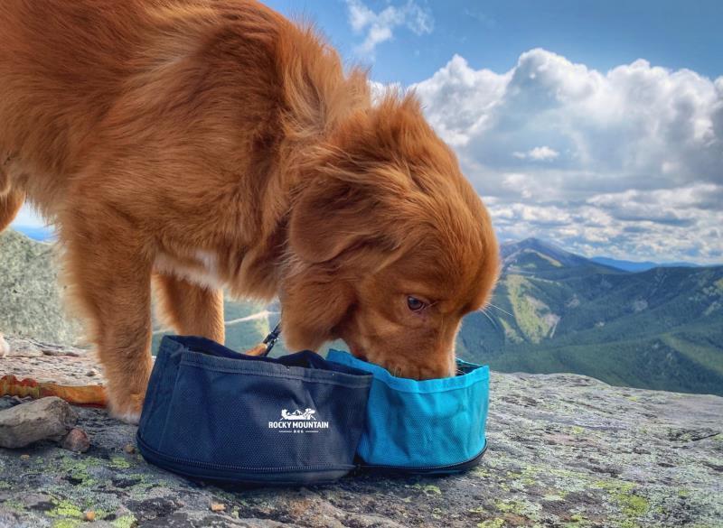 Collapsible Dog Travel Bowl - Not Applicable 2