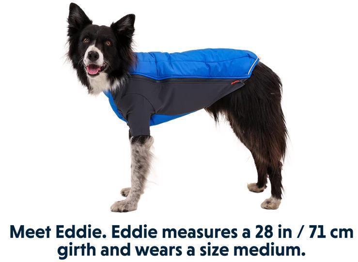 Powder Hound Jacket - Blue Pool 4