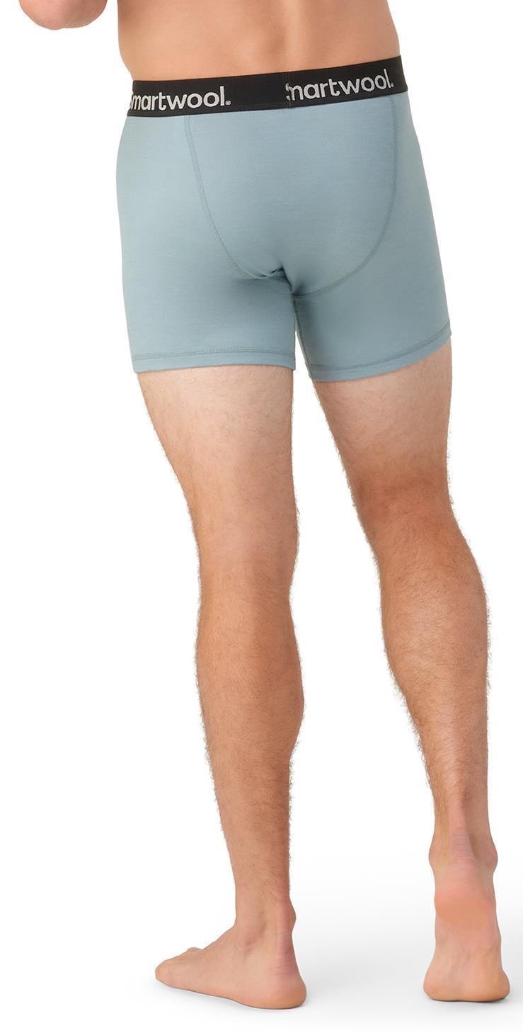 Boxer Brief - Mens - Lead 3