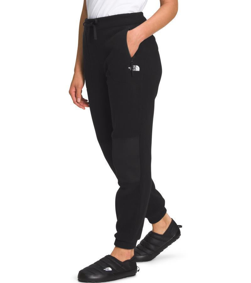Alpine Polartec 200 Pants, Reg - Womens - TNF Black 3