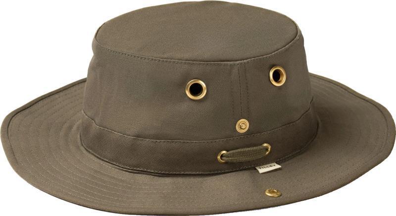 T3 - Olive 1