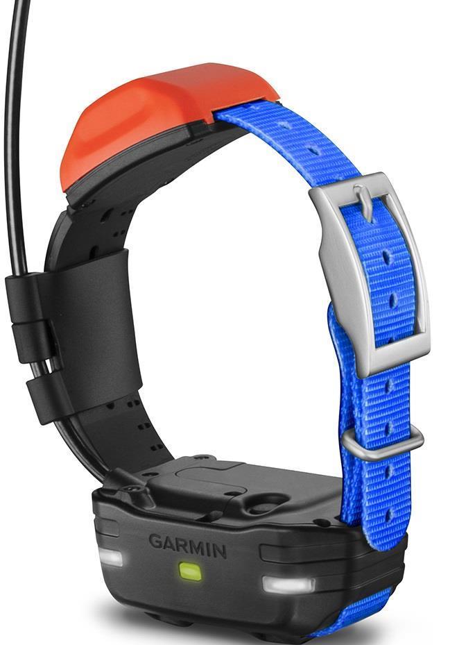 T5 Mini Dog Device - Not Applicable 4