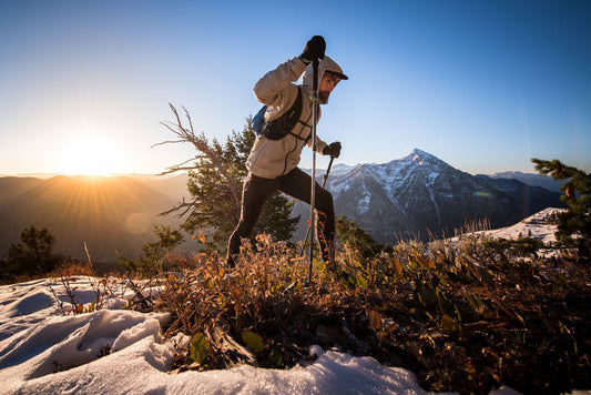 Black Diamond Winter Trekking Poles