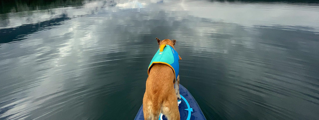 Gear Review - Ruffwear's Float Coat