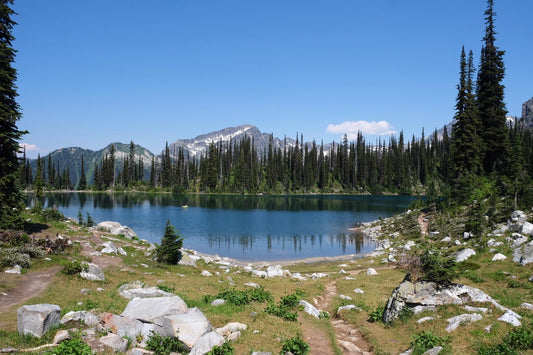 Getting Around Mount Revelstoke National Park, BC
