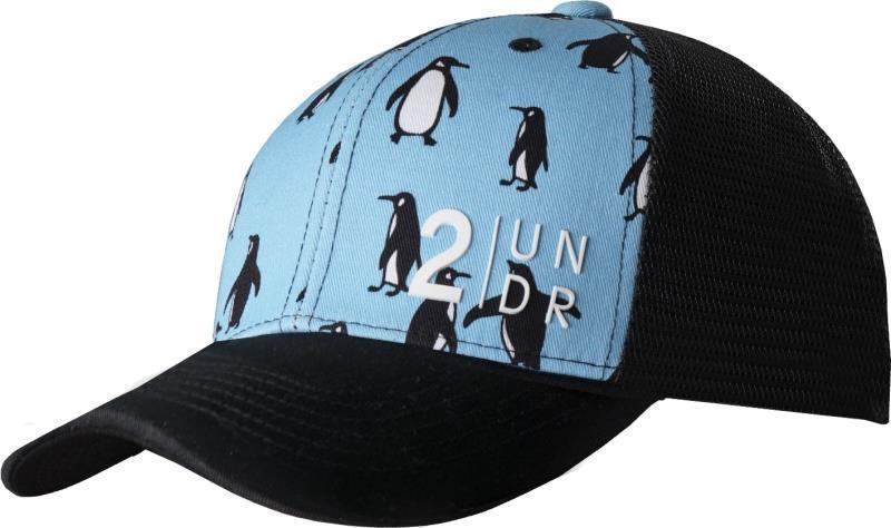 Mesh Back Print Hat - Penguins 1