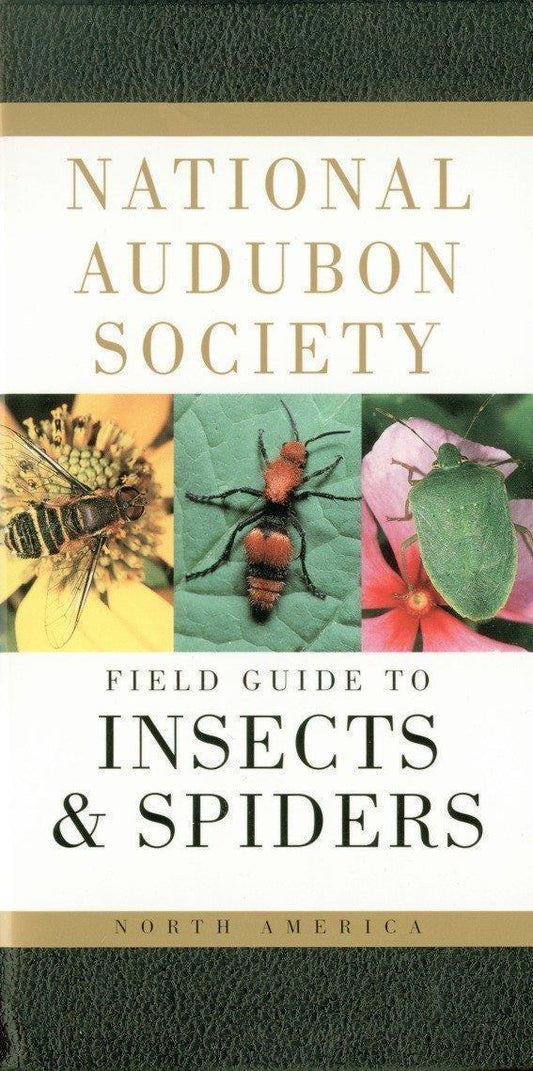 Audubon Field Guide to Insects & Spiders - Not Applicable 1