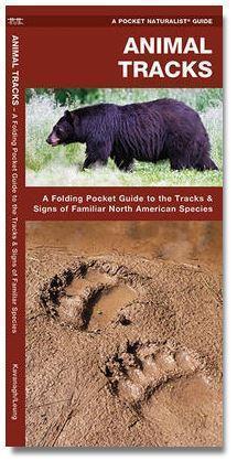 Pocket Naturalist Guide: Animal Tracks - Not Applicable 1