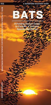 Pocket Naturalist Guide: Bats - Not Applicable 1