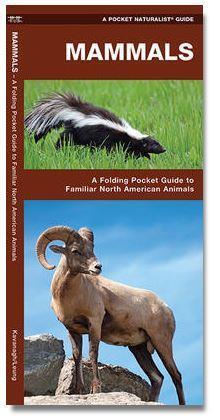 Pocket Naturalist Guide: Mammals - Not Applicable 1