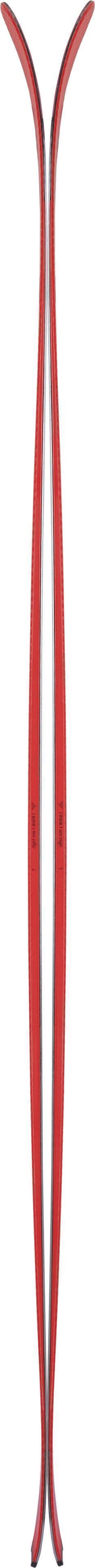 Camox Freebird Skis 2021/2022 - Not Applicable 2