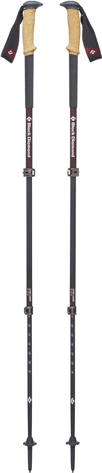 Alpine Carbon Cork Trekking Poles - Womens - Rhone 1