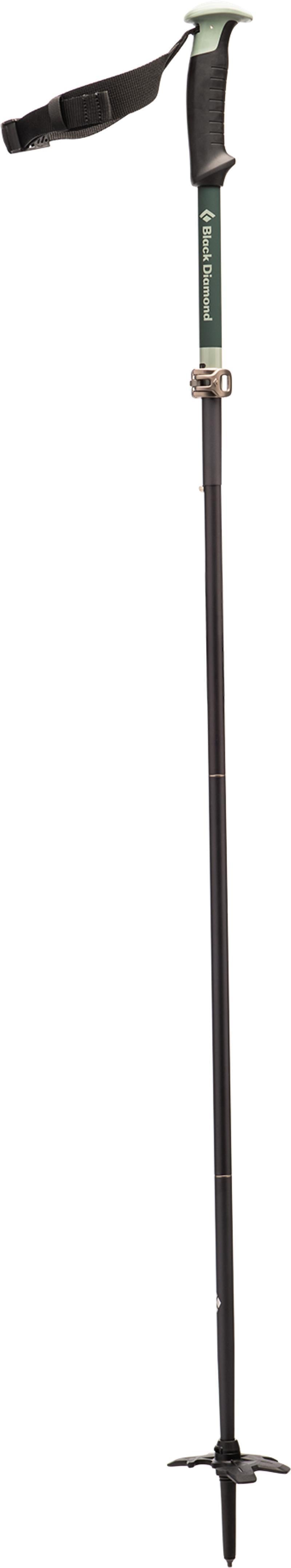 Compactor Ski Poles - Not Applicable 2