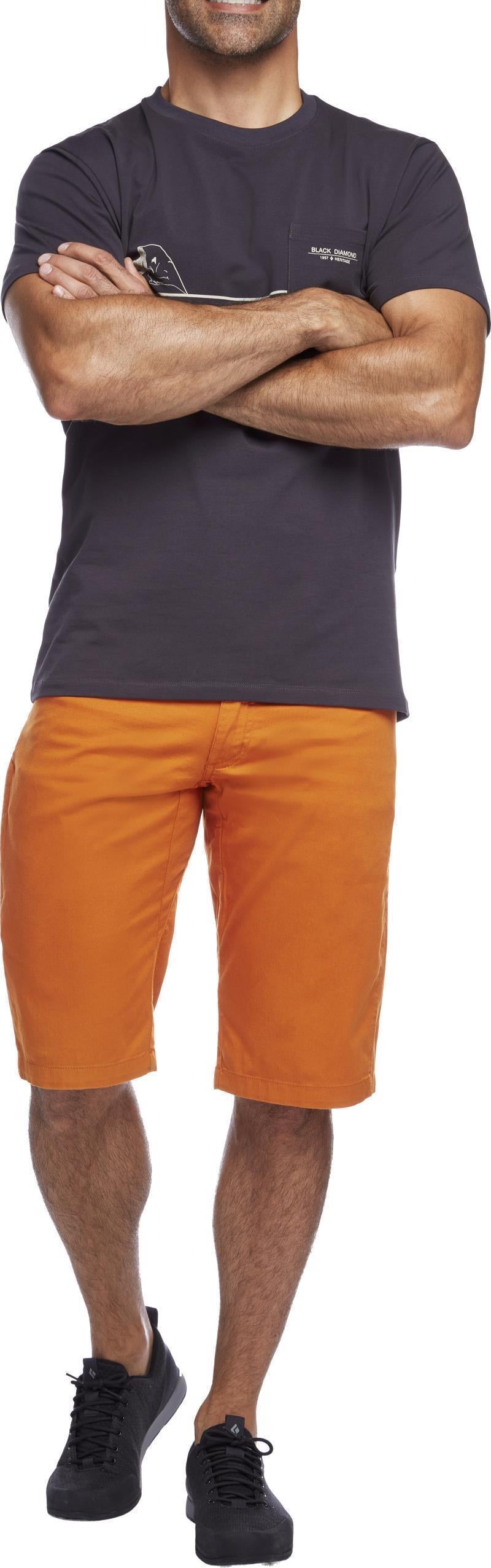 Credo Shorts, 13.5" Inseam - Mens - Ginger 2