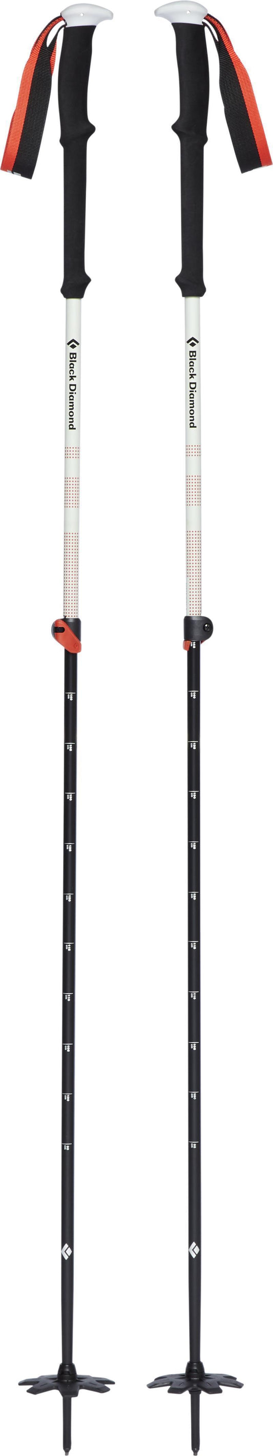 Expedition 2 Ski Poles - Not Applicable 2