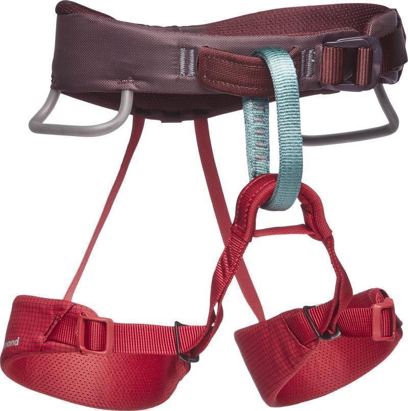 Momentum Harness - Kids - Wild Rose 1