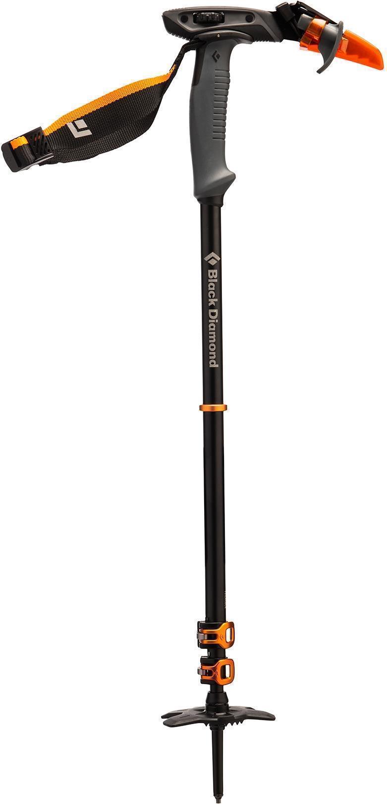 Whippet Pole - Not Applicable 2
