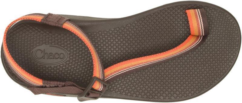 Bodhi - Mens - Belt Java 7