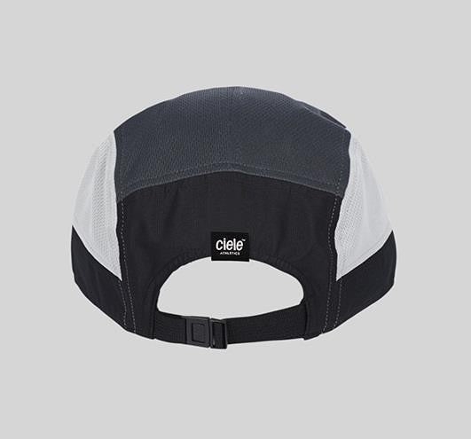 GOCap - Since - whitaker 1