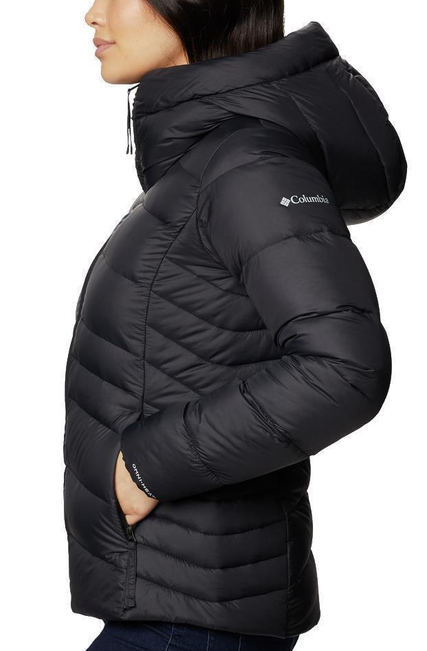 Autumn Park Down Hooded Jacket - Womens - Black 2