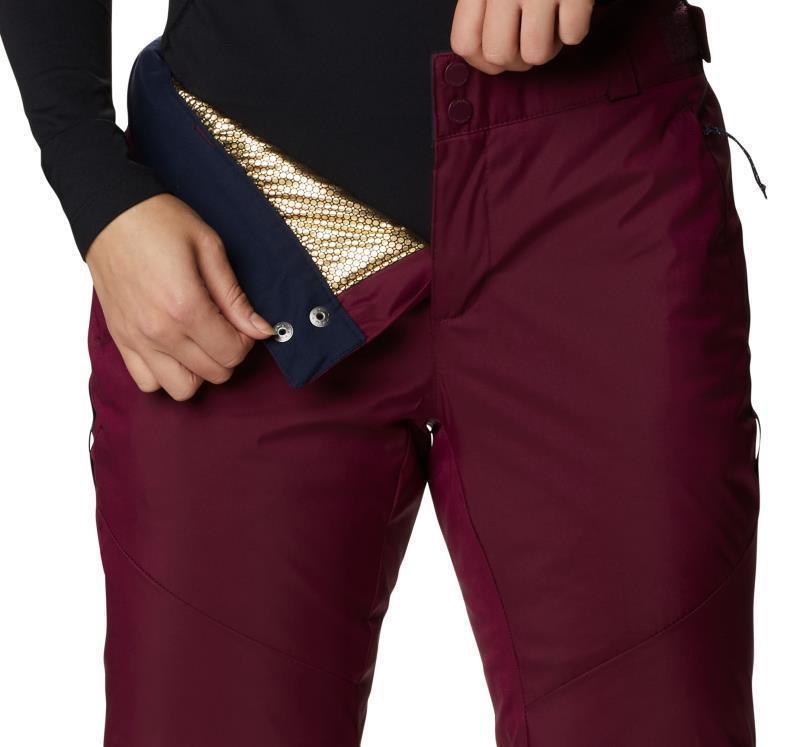 Backslope II Insulated Pants, Reg - Womens - Marionberry Sheen 6