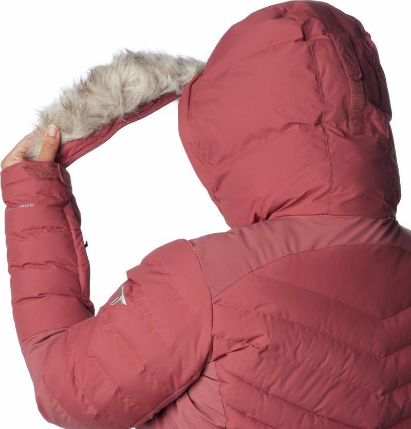 Bird Mountain II Insulated Jacket - Plus - Womens - Beetroot 5