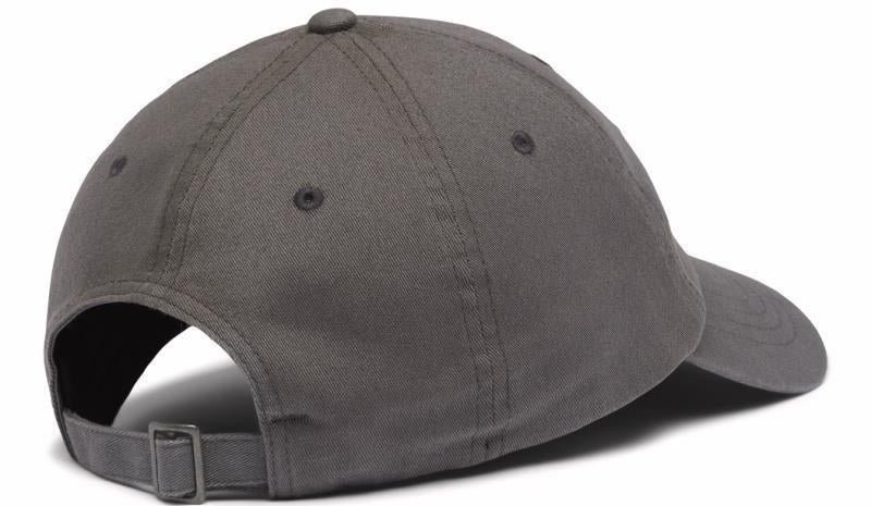 Columbia Logo Dad Cap - City Grey 2