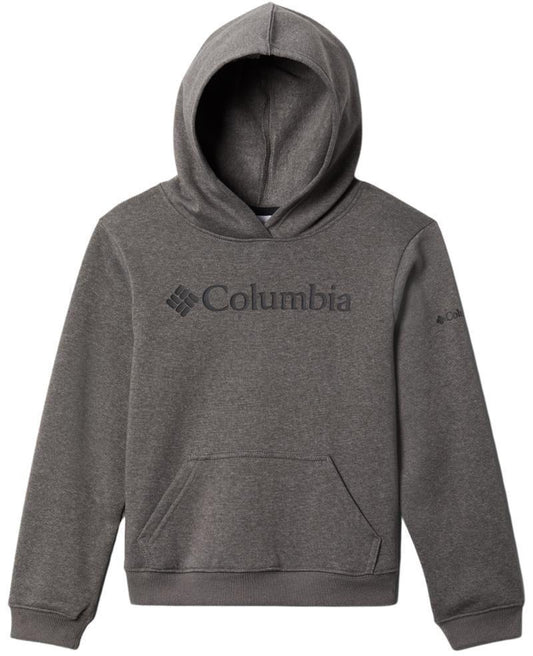 Columbia Trek Hoodie - Youth Boys - Charcoal Heather 1