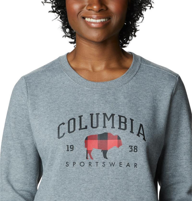Hart Mountain II Graphic Crew - Womens - Columbia Grey Heather / CSC Arch Range 5