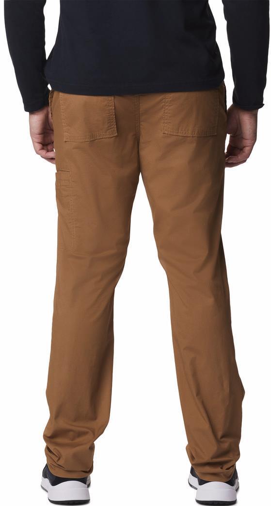 Pine Canyon Pants, 30" Inseam - Mens - Delta 2