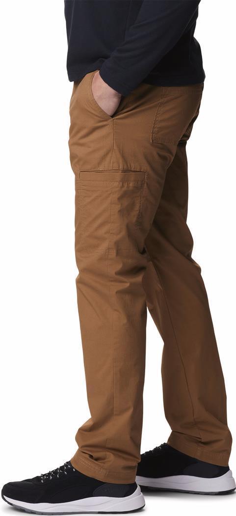 Pine Canyon Pants, 30" Inseam - Mens - Delta 3