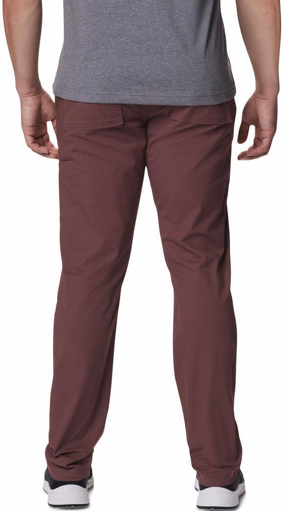 Pine Canyon Pants, 30" Inseam - Mens - Light Raisin 2