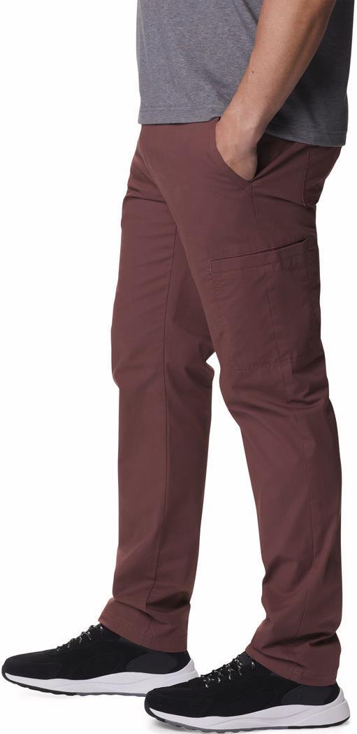 Pine Canyon Pants, 30" Inseam - Mens - Light Raisin 3